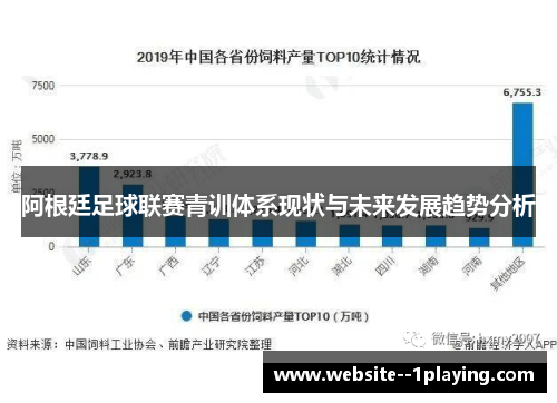 阿根廷足球联赛青训体系现状与未来发展趋势分析